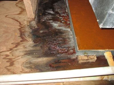About water damage restoration service - burst pipe water damage experts in Yonkers